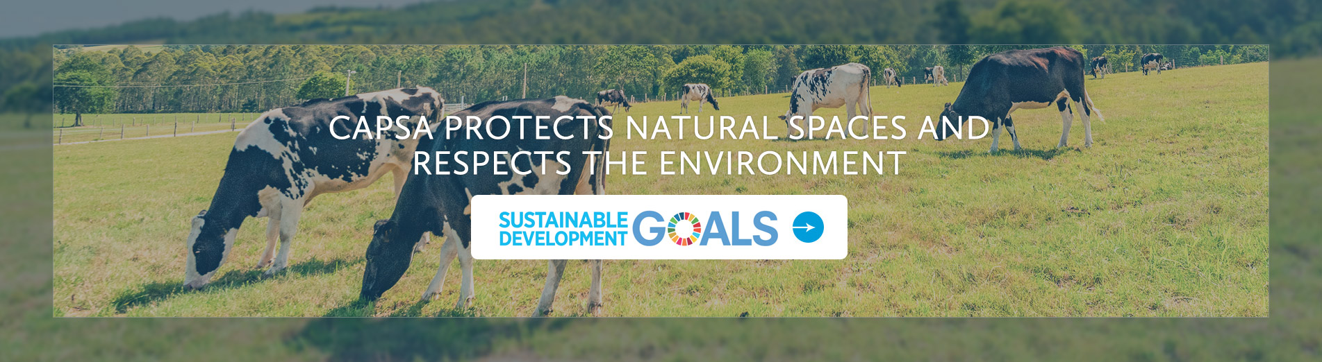 Capsa protects natural spaces and respects the environment